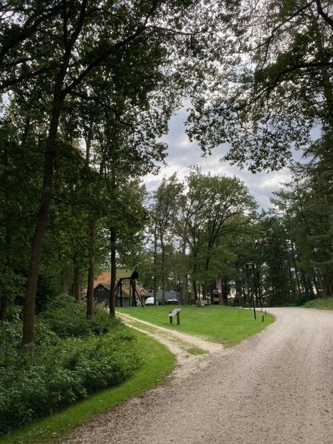 Deze afbeelding heeft een leeg alt-attribuut; de bestandsnaam is weggetje-naar-de-Eekhoorn-1-rotated.jpeg
